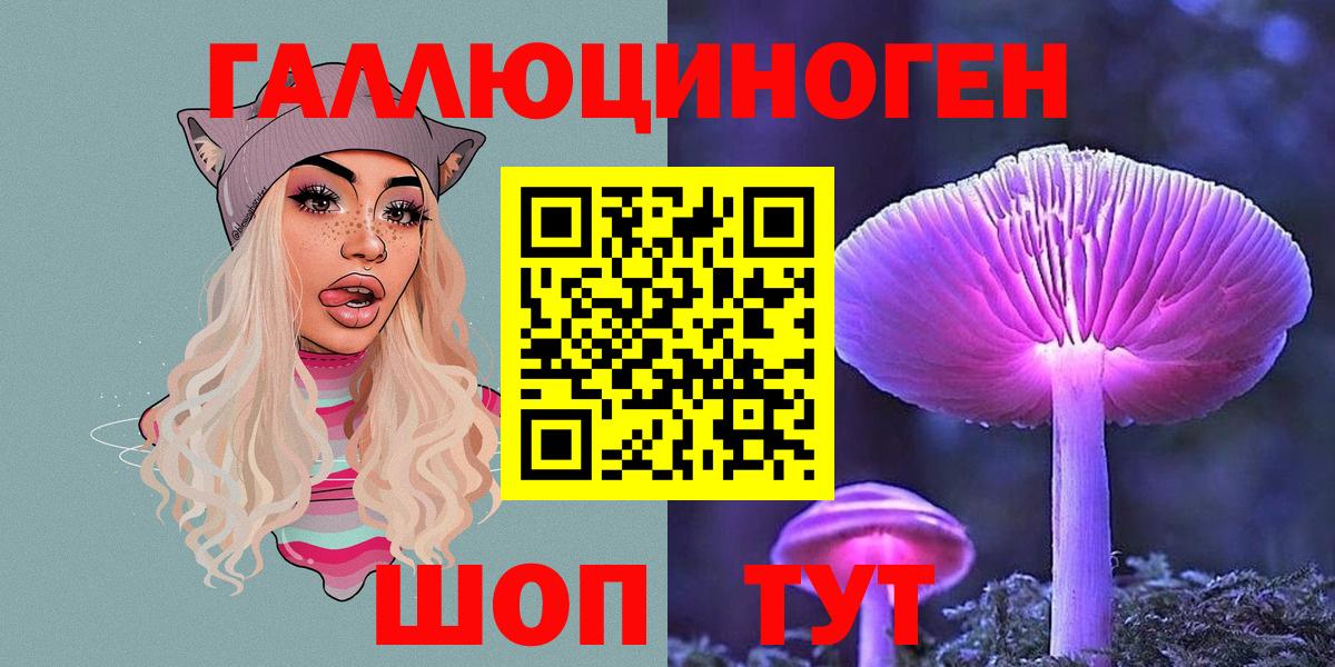 Волоколамск  Псилоцибиновые грибы Psilocybe  Вход с VPN 