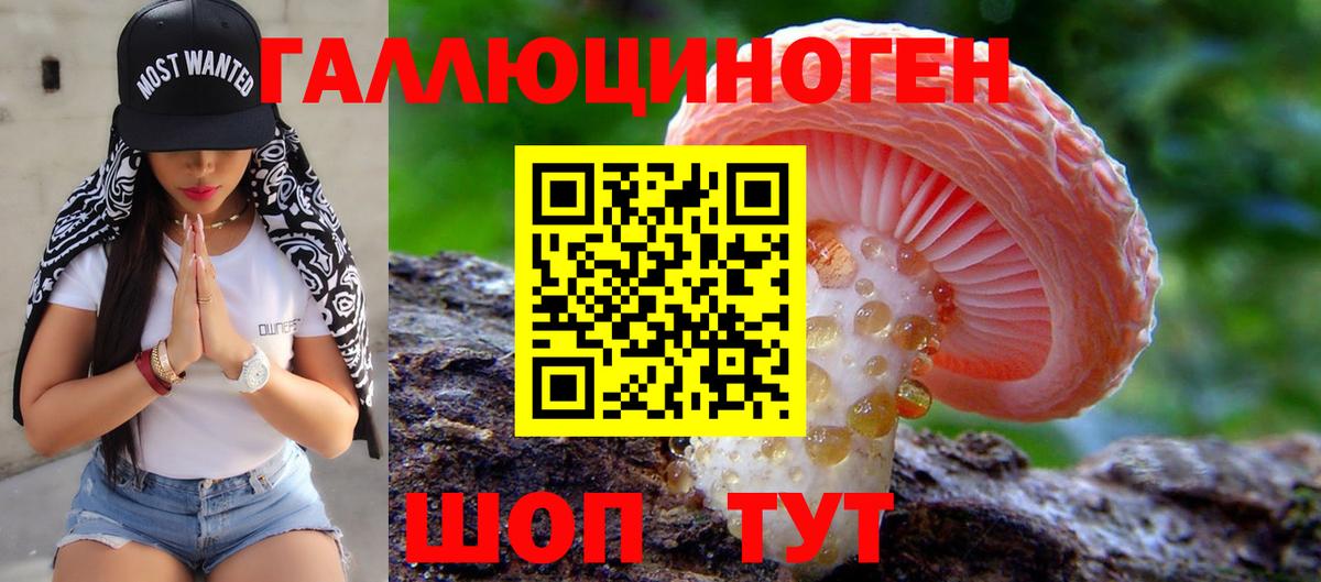 Псилоцибиновые грибы GOLDEN TEACHER Волоколамск